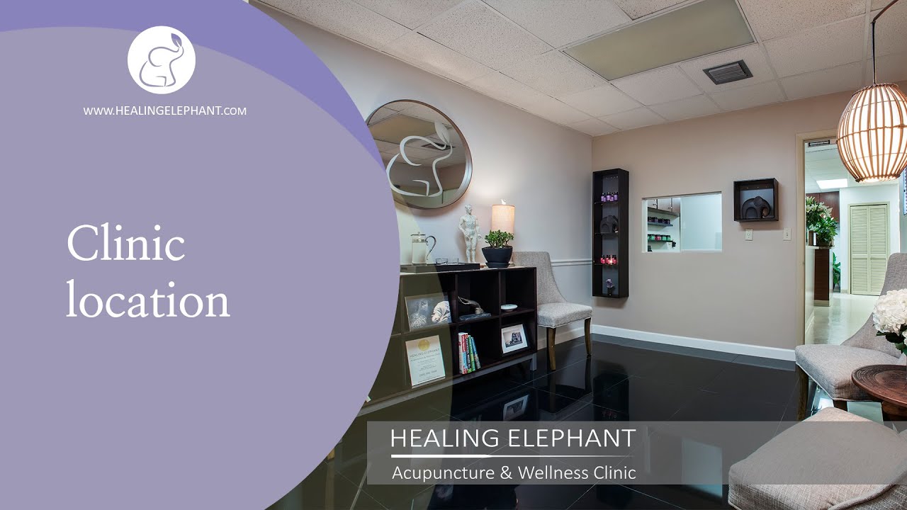 Healing Elephant Acupuncture and Wellness Clinic Location | Miami Shores Acupuncture