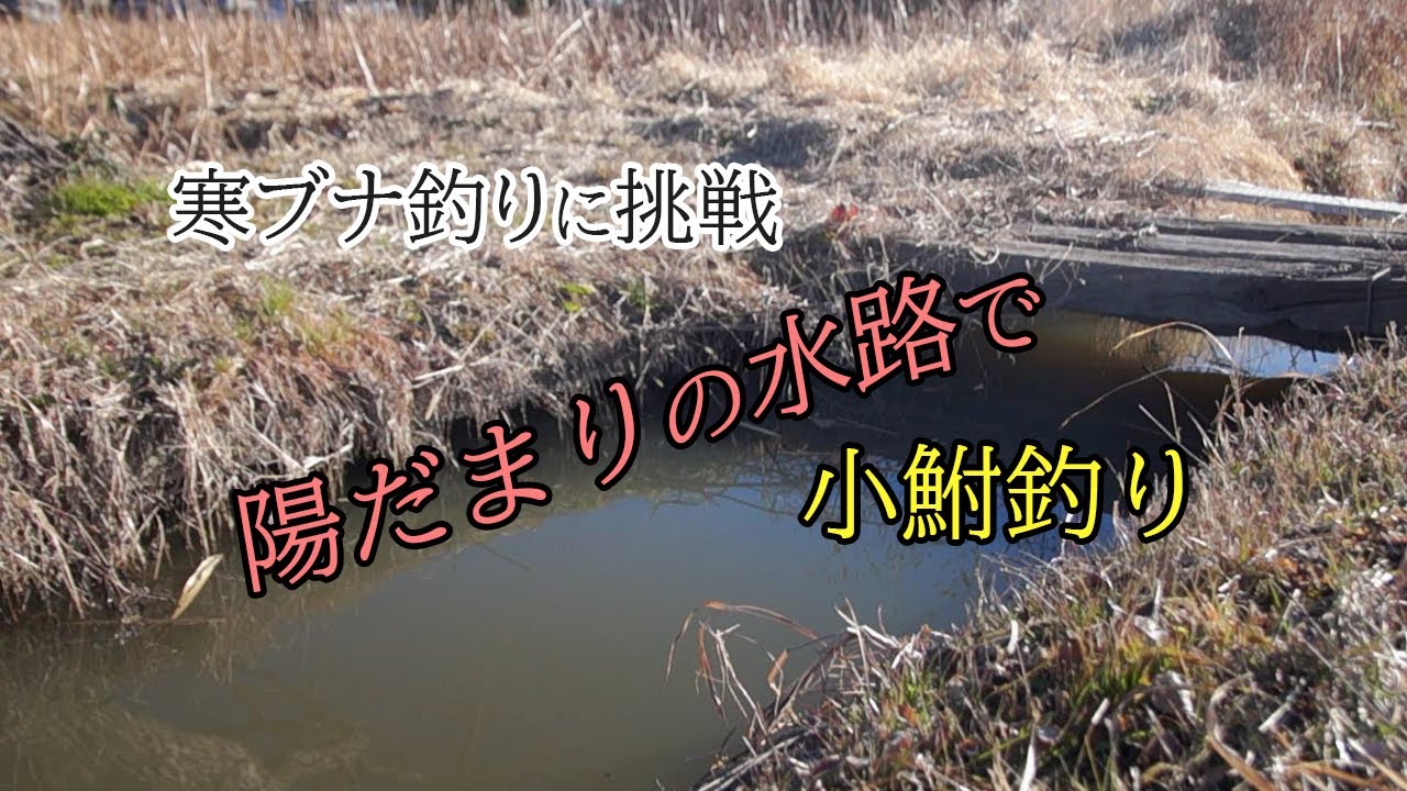 真冬の鮒釣り　氷も張り始めた霞ヶ浦の水路で小物釣りが楽しい！ 【寒ブナ釣り】