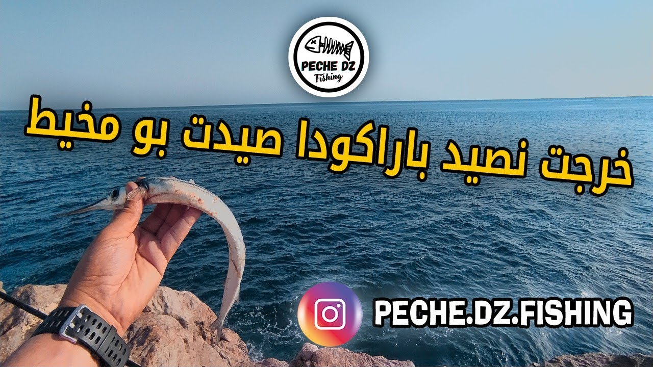 خرجت نصيد باراكودا صيدت بومخيط في الدقيقة 11