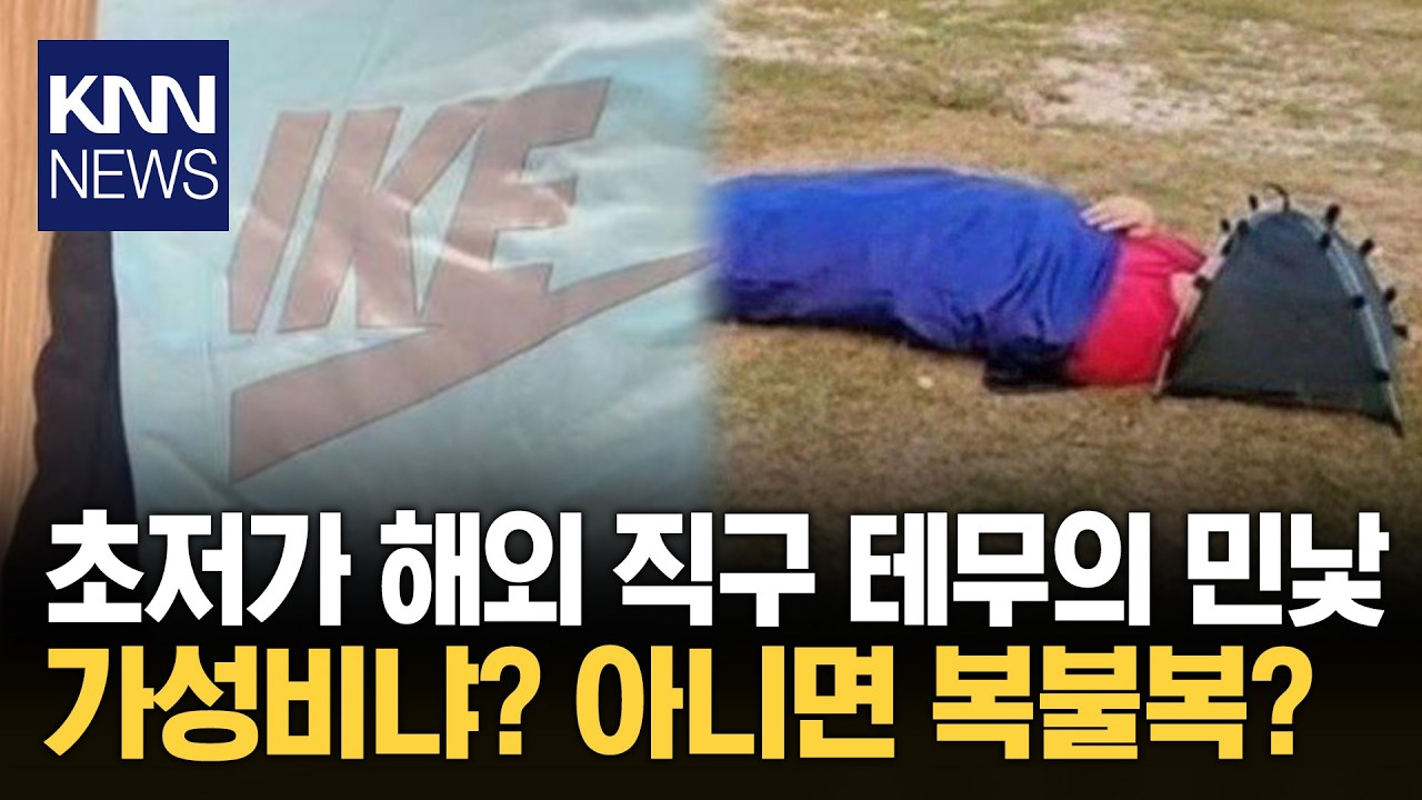 테무 초저가 쇼핑의 실체? 