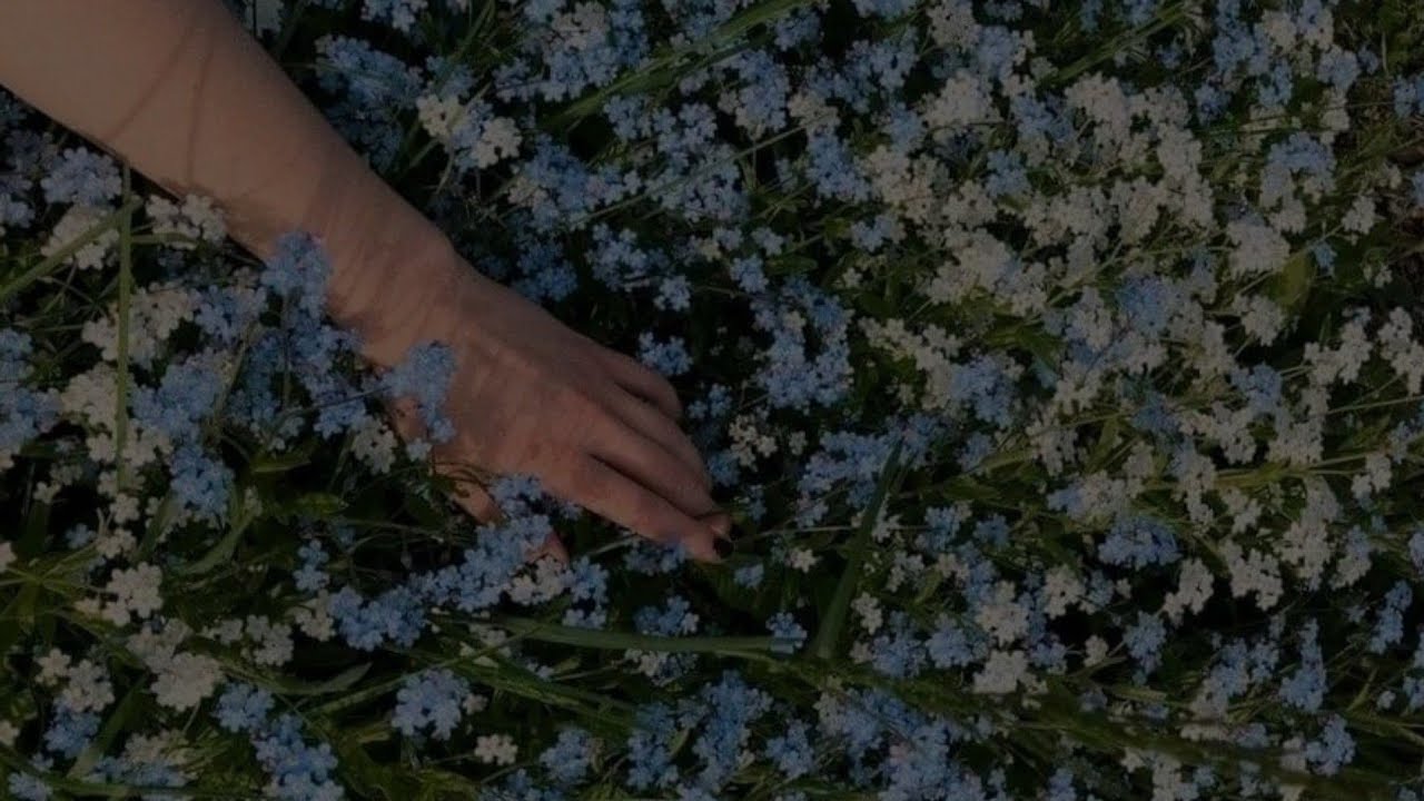 Forrest Frank - Never Left My Side (Tradu&ccedil;&atilde;o)