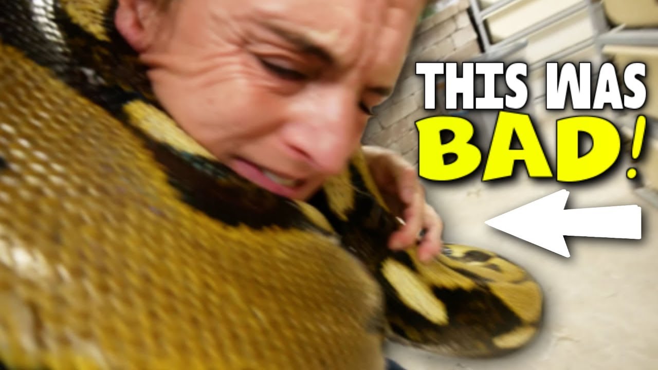 VERY SCARY MOMENTS WITH A 20 FOOT SNAKE!! (SERIOUSLY) | BRIAN BARCZYK
