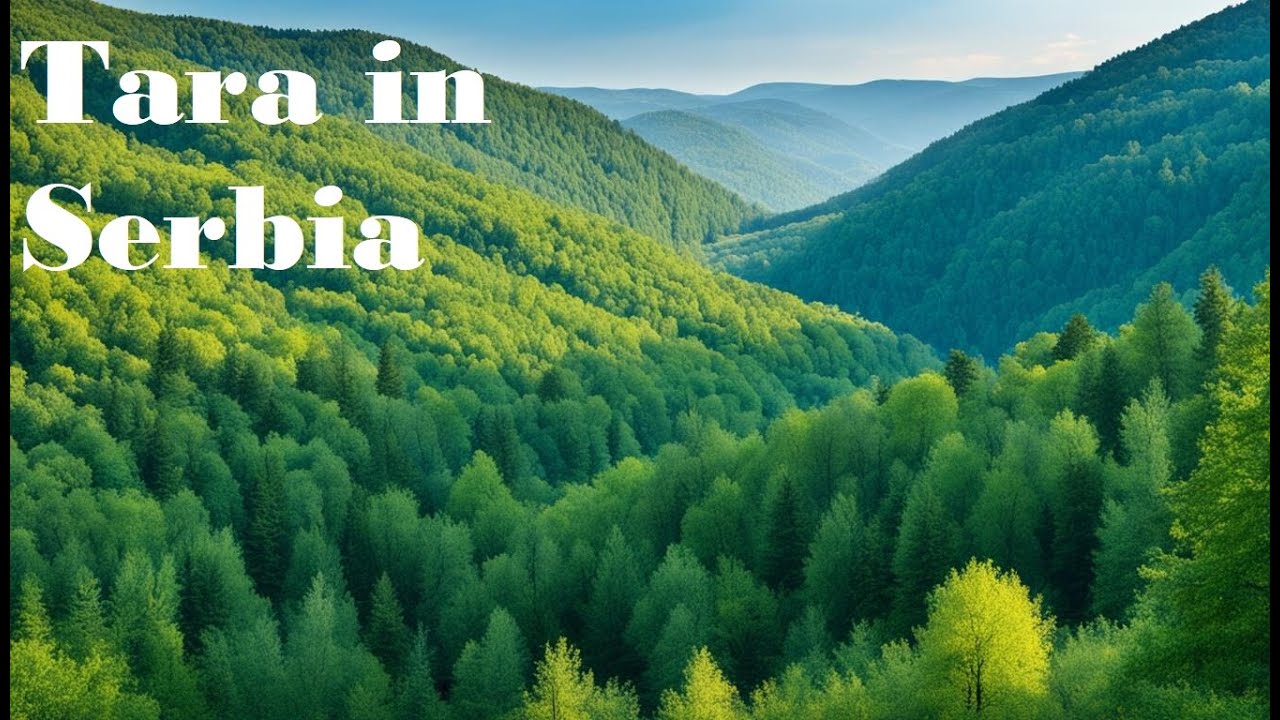 Travel | Adventure Awaits: Tara Mountain's Stunning Landscapes | Travel Landmarks