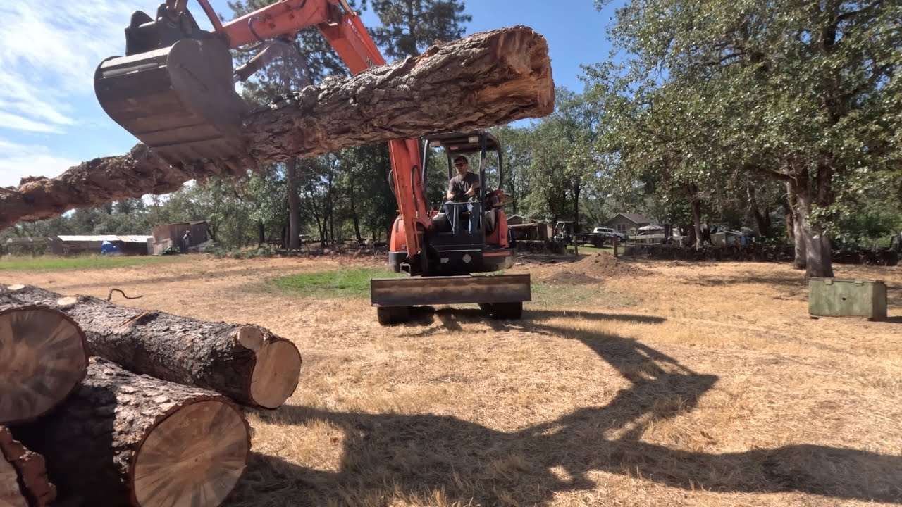 Cutting Dead Trees and Grinding Stumps