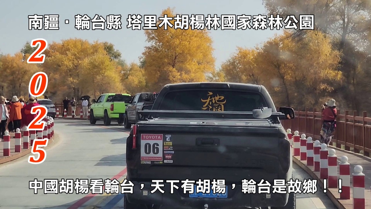 2025南疆自由行第3輯│輪台縣│塔里木胡楊林國家森林公園│世界胡楊看中國，中國胡楊看輪台，天下有胡楊，輪台是故鄉│歡迎分享！！