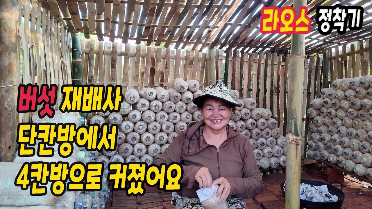 ep571 버섯 재배사좀 키웠어요