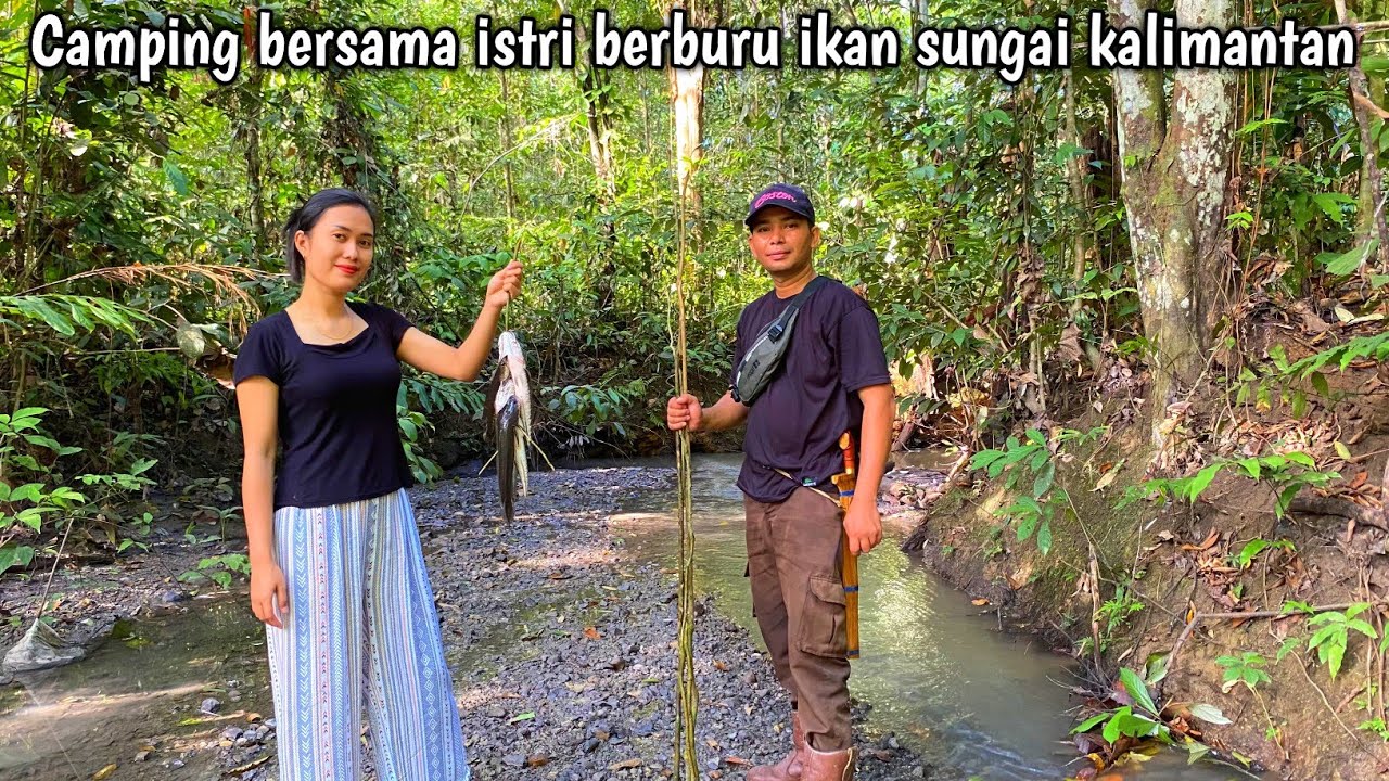 Camping berburu ikan monster sungai kalimantan