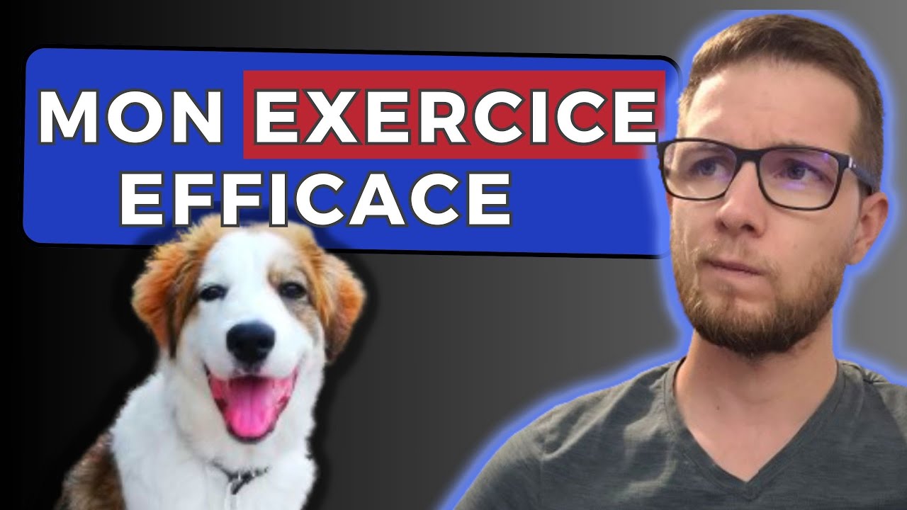 Comment &eacute;duquer son chien et communiquer avec lui