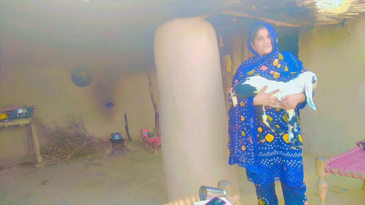 Village tour | Village Life | Mud house |Village vlog 