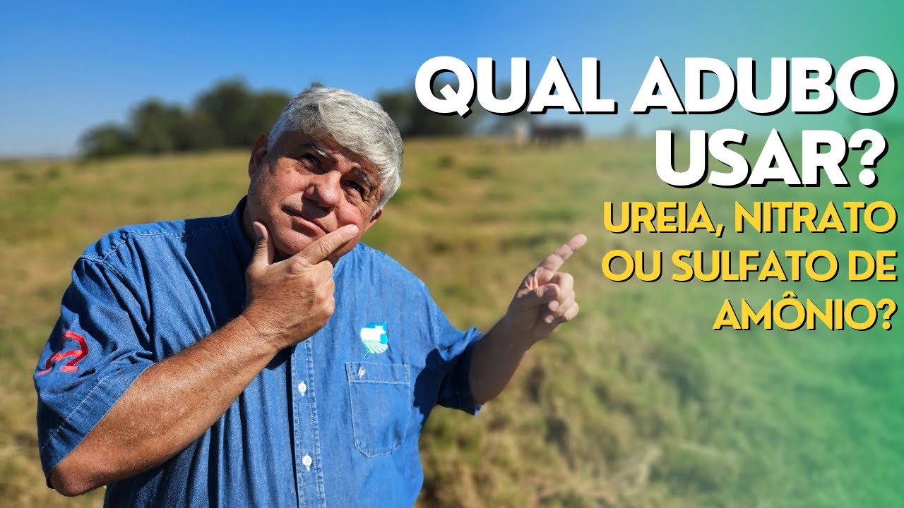 QUAL ADUBO USAR NO PASTO E FENO? Ureia, Nitrato de Amônio ou Sulfato de Amônio? Ep#183