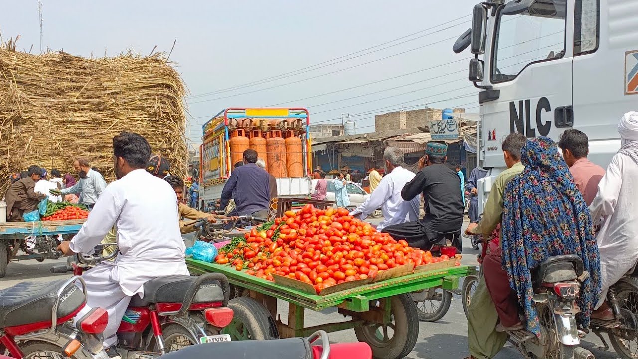 Pahli bar Ghas ki katai kar rahe hain