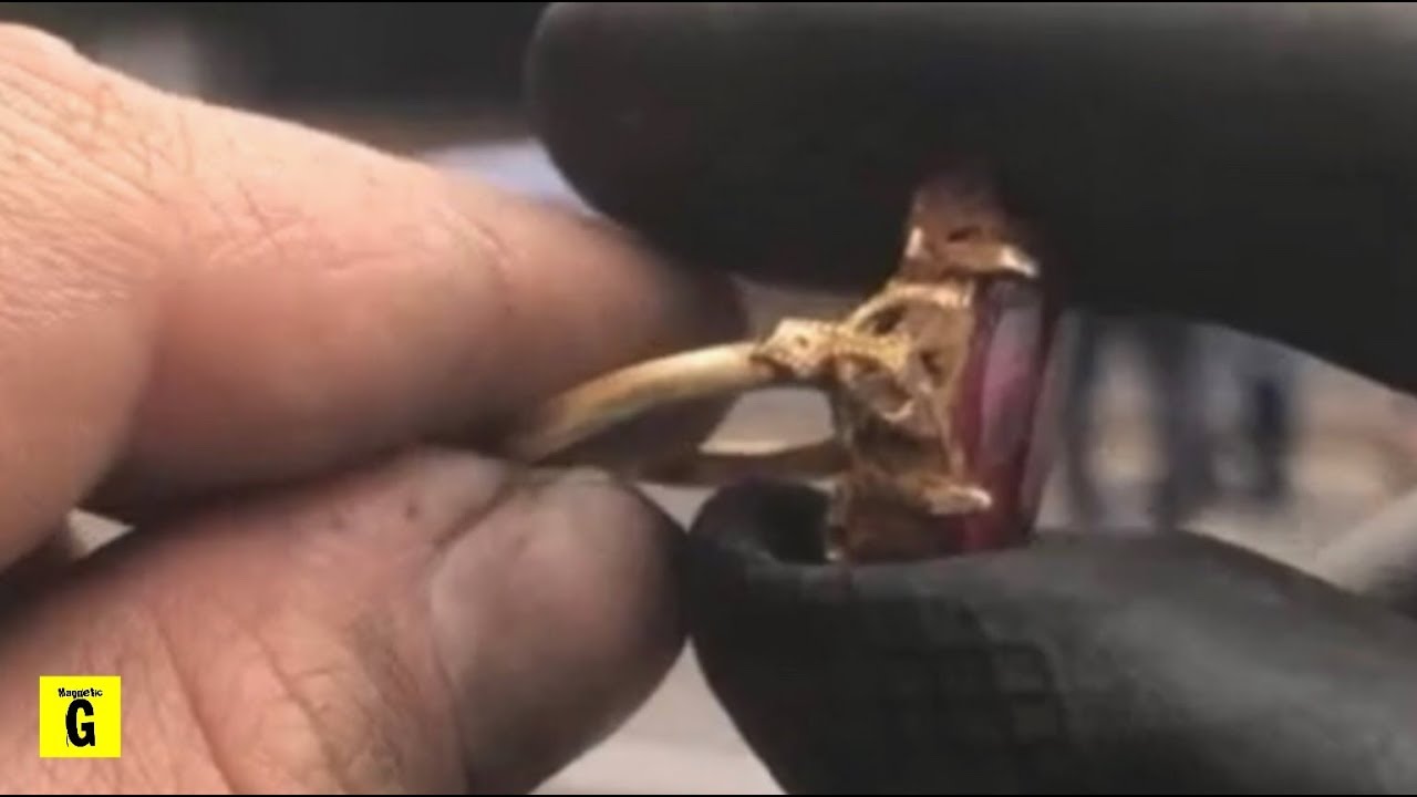 Found REAL SUNKEN TREASURE While Magnet Fishing This River!!! (We Couldn’t Believe Our Eyes)