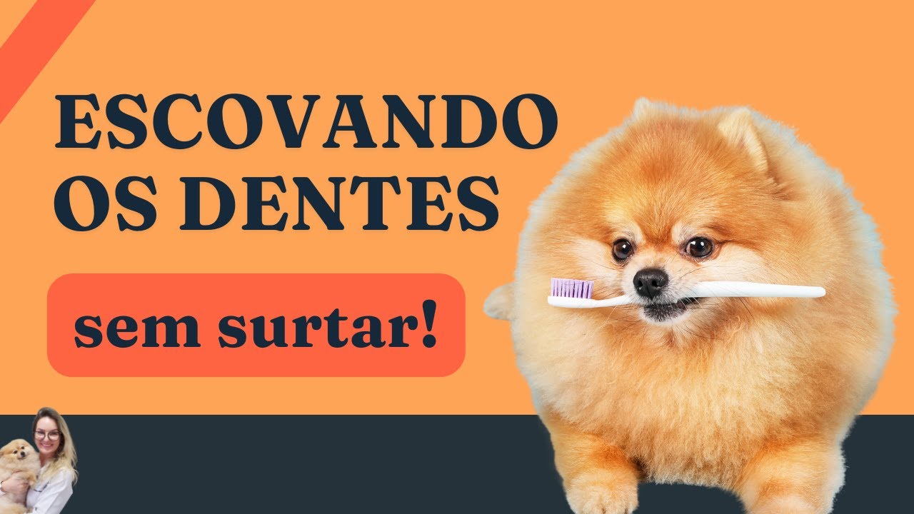 Como escovar o dente do seu pet?