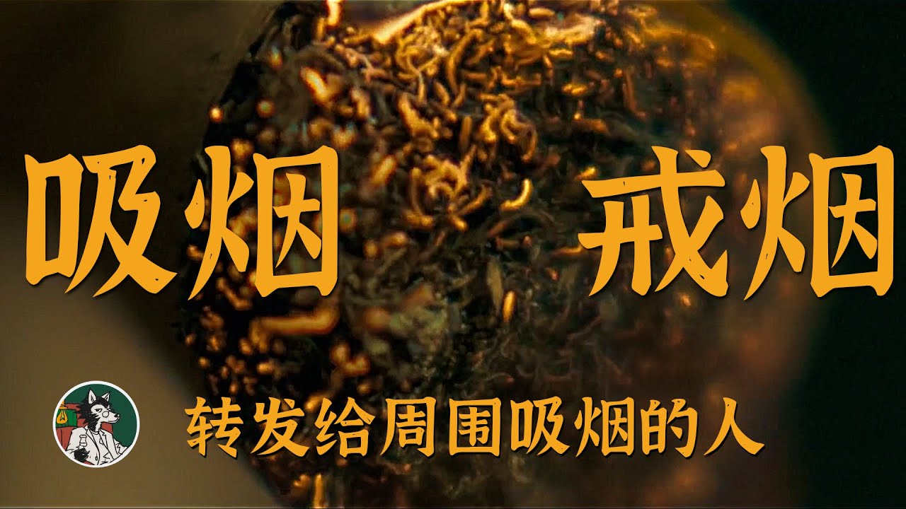 吸烟的原因&如何戒烟！ 