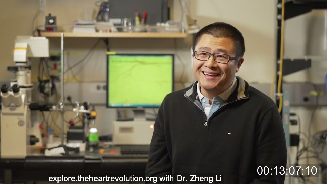 Blood flow without a heart pumping it? | Prof. Pollack & Dr. Zheng Li