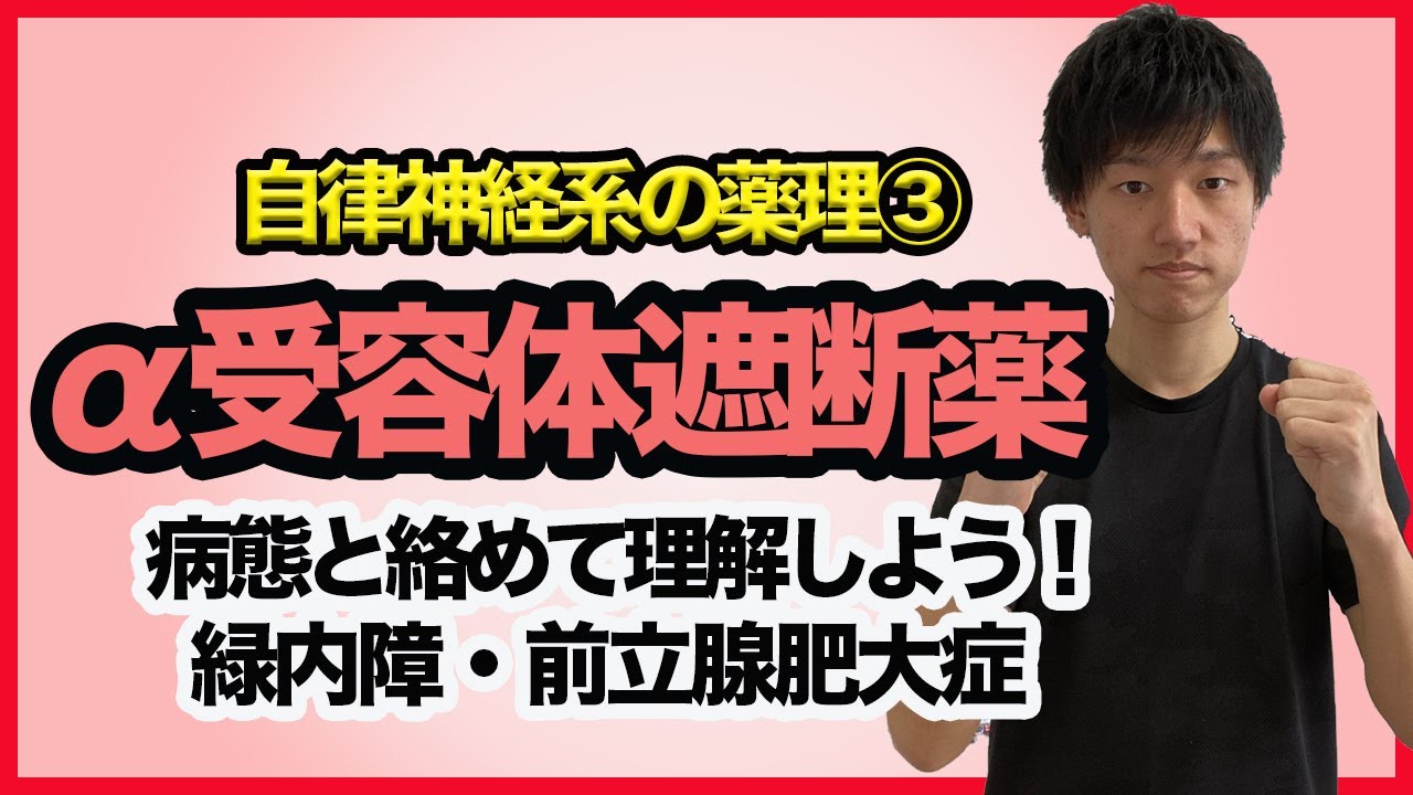 【自律神経系の薬理③】α１受容体遮断薬のを病態と絡めて理解しよう！（前立腺肥大や緑内障）
