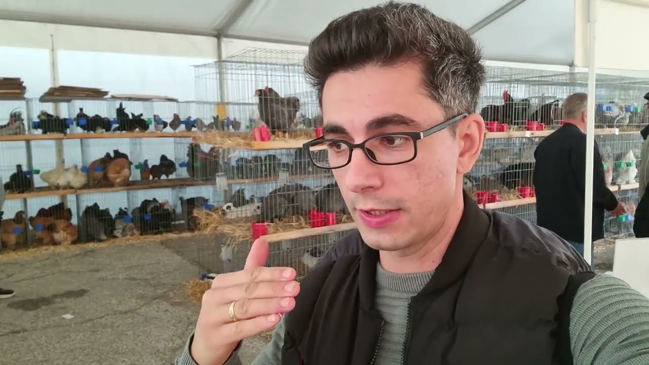 Viața  la țară ✅ Expoziția  de găini INDAGRA 2025 🕊🐓🐔🦃 Ce păsări sunt în cort?😁 