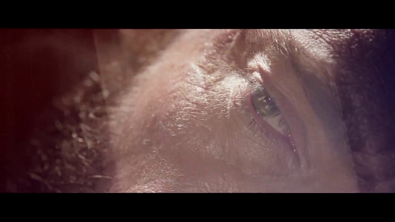 Memories（Logan/Scott/Scogan）