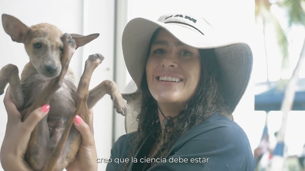 Quién es Sara
