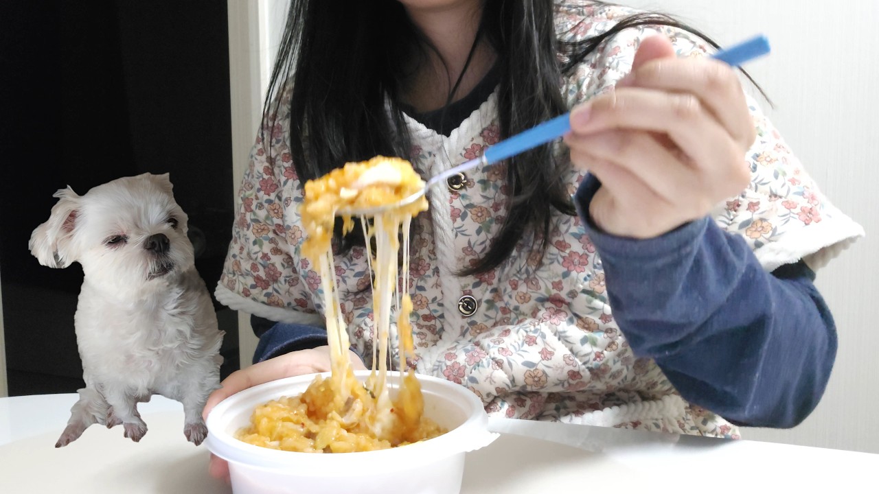 누가 보면 집에 갇힌 줄 알듯 | 기간제 홈프로텍터의 연휴 브이로그
