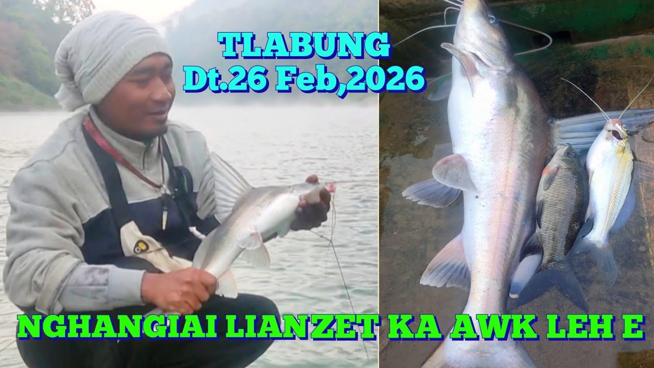 Ekhai, Nghangiai lian zet ka awk leh hlauh maile..#Long whiskered Catfish