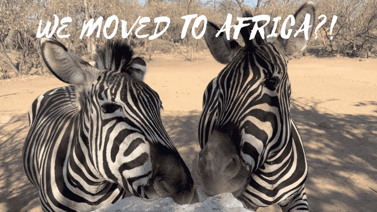 WE MOVED TO AN ANIMAL SANCTUARY IN AFRICA! | Ep. 4