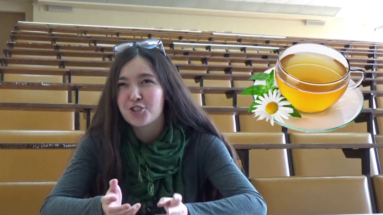 🔥 Студенты МГУ о ЕГЭ и поступлении:  как готовиться, как не нервничать, как списать