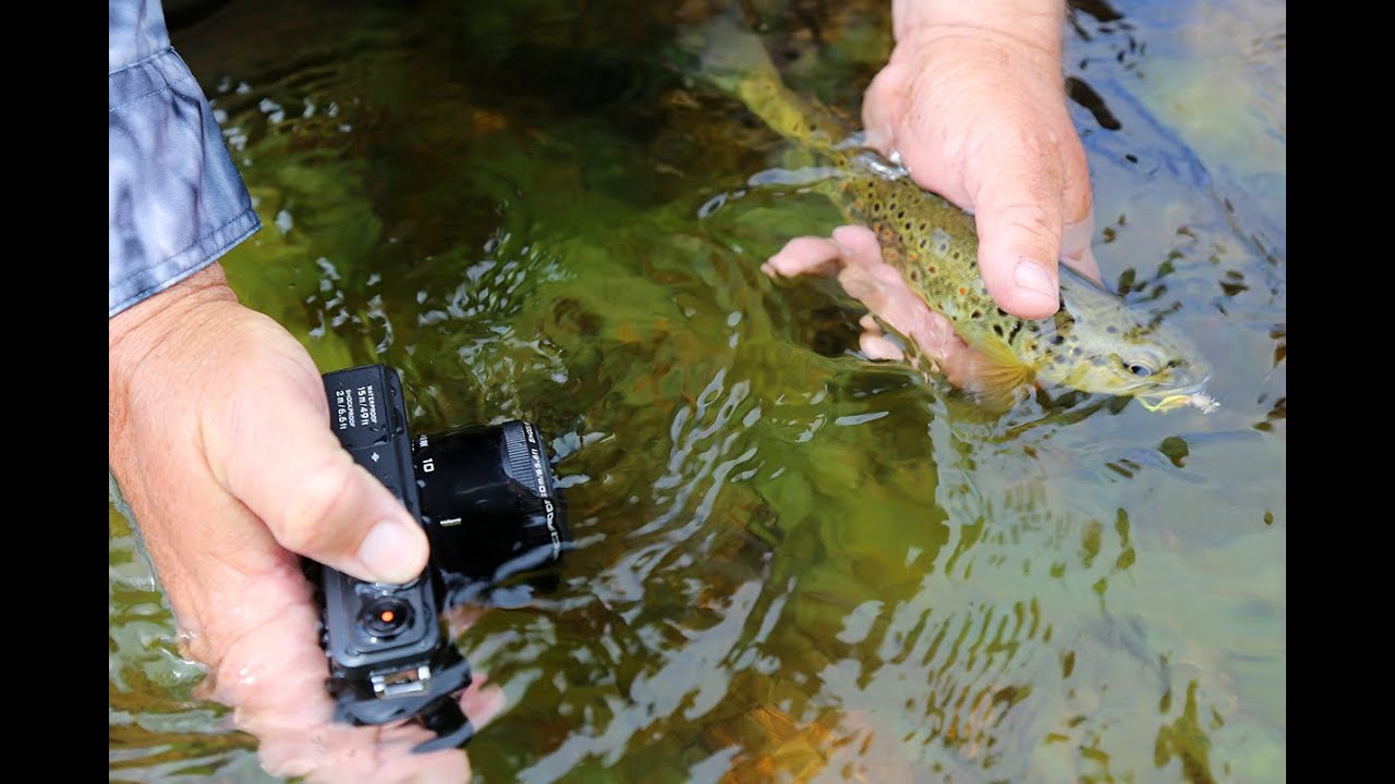 Nikon's AW1: A Fisherman's Review — Starlo Gets Reel