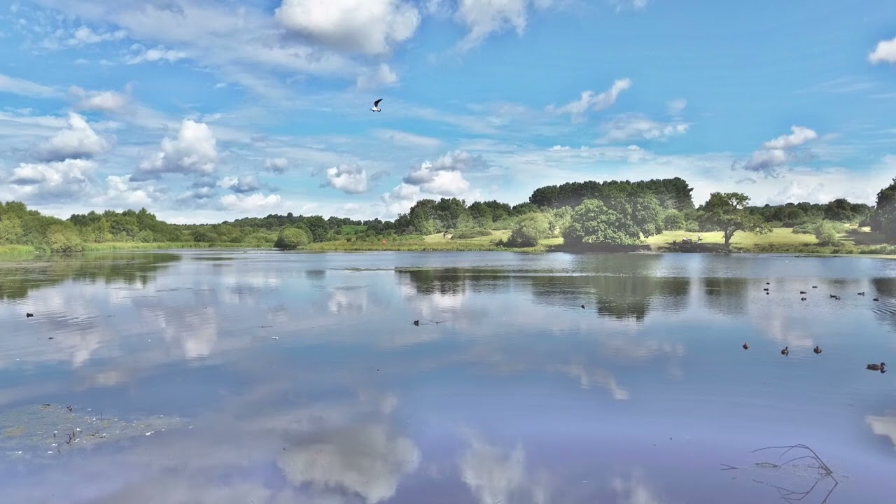 A Tranquil Lake