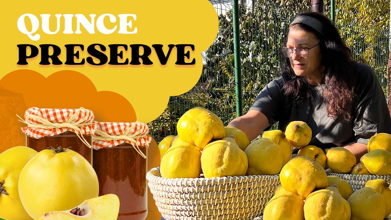 COME WITH US TO QUINCES PARADISE