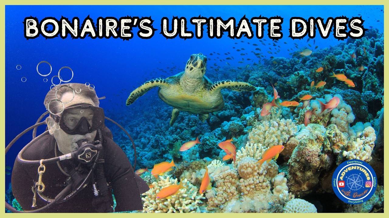 Bonaire's Unbelievable Underwater Wonders