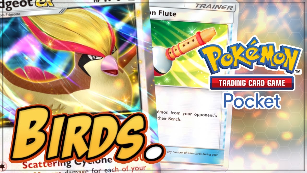 PIDGEOT and CHATOT BIRD TRIBAL! | Pokemon TCG Pocket