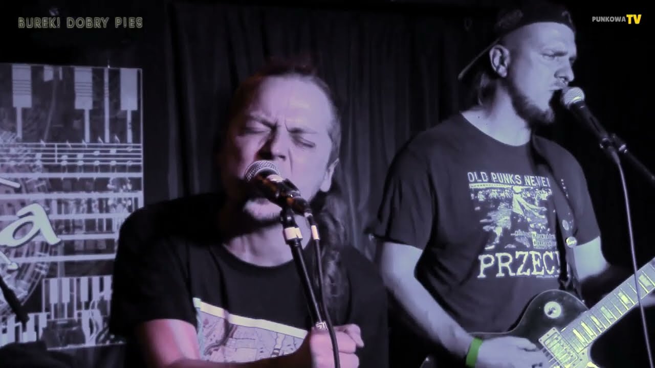 Burek! Dobry Pies - Umarli mi koledzy - STAY PUNX D.I.Y GIG - Częstochowa
