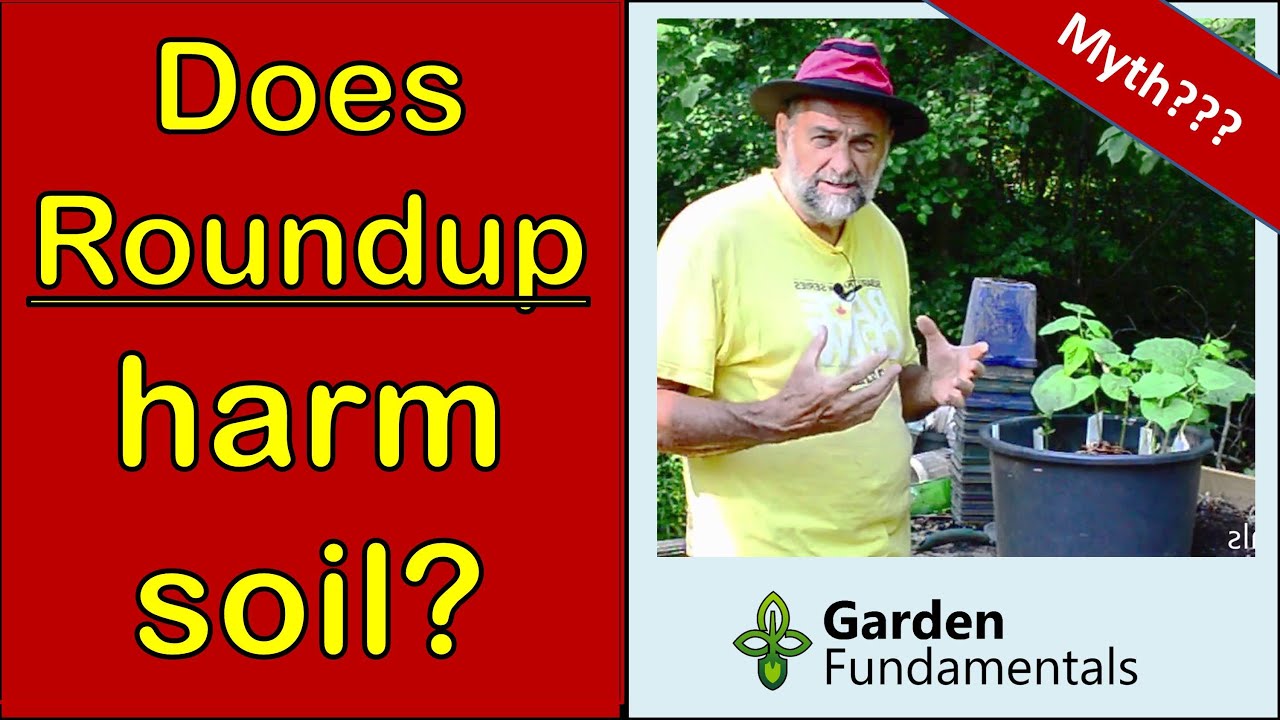 Does Roundup Harm Soil? 🧿️🌽🧿️ How Soon Can You Plant After Spraying?