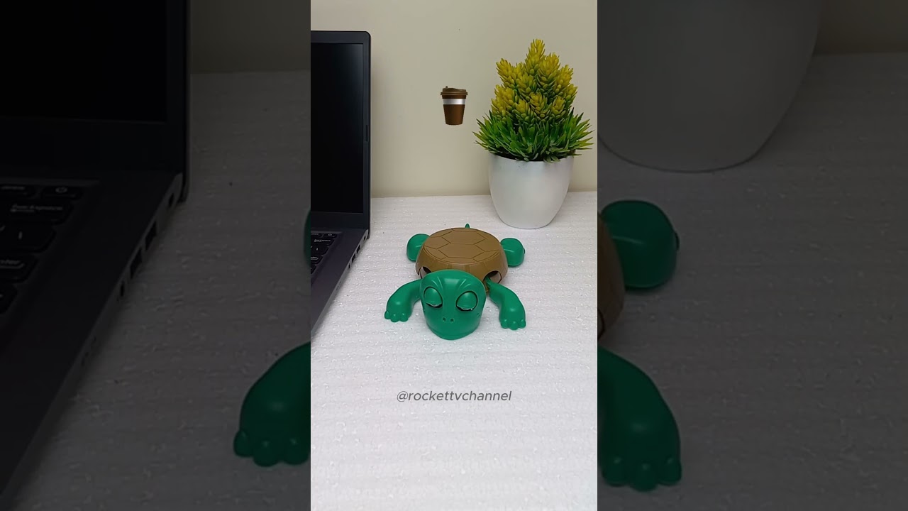 Turtle Coaster - What's next? 