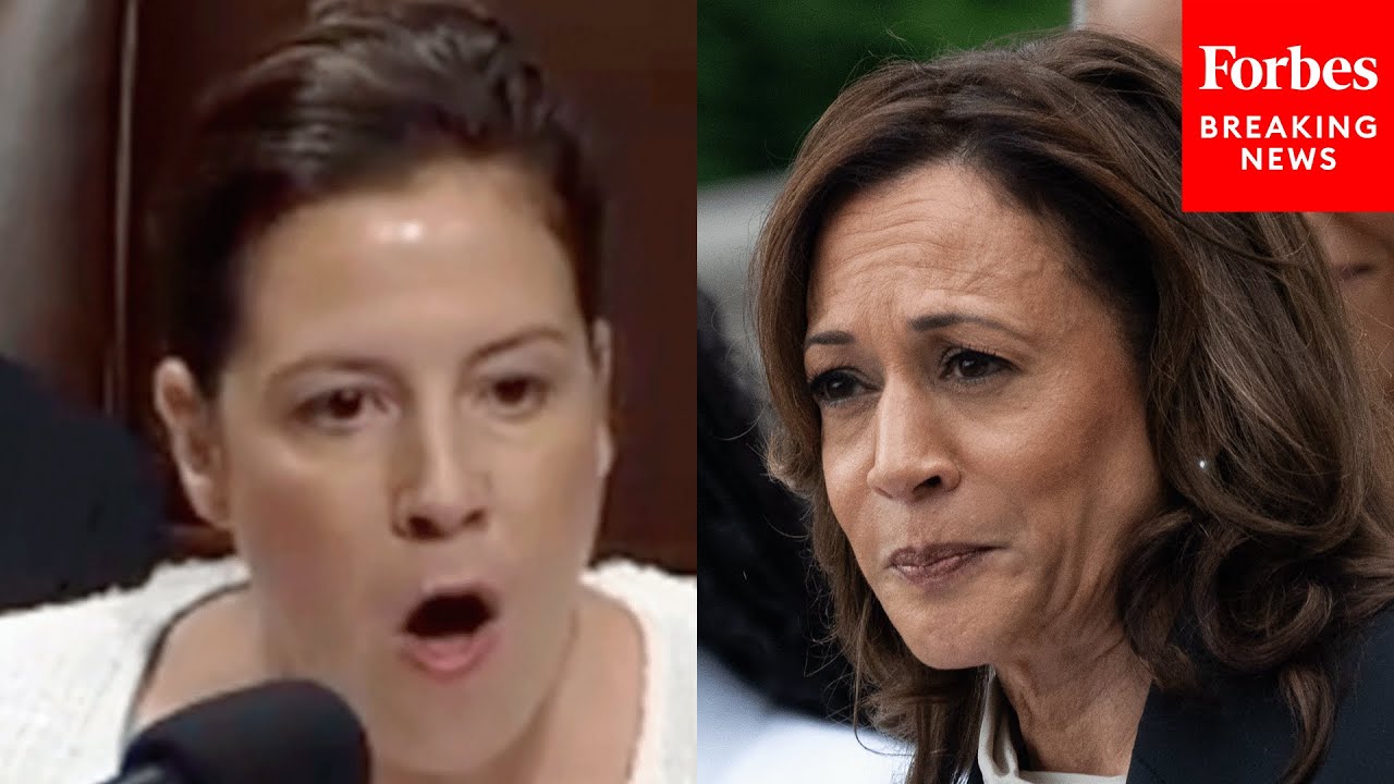 Elise Stefanik Lets Loose On Kamala Harris Over 'Failed Far-Left Open Border Agenda'