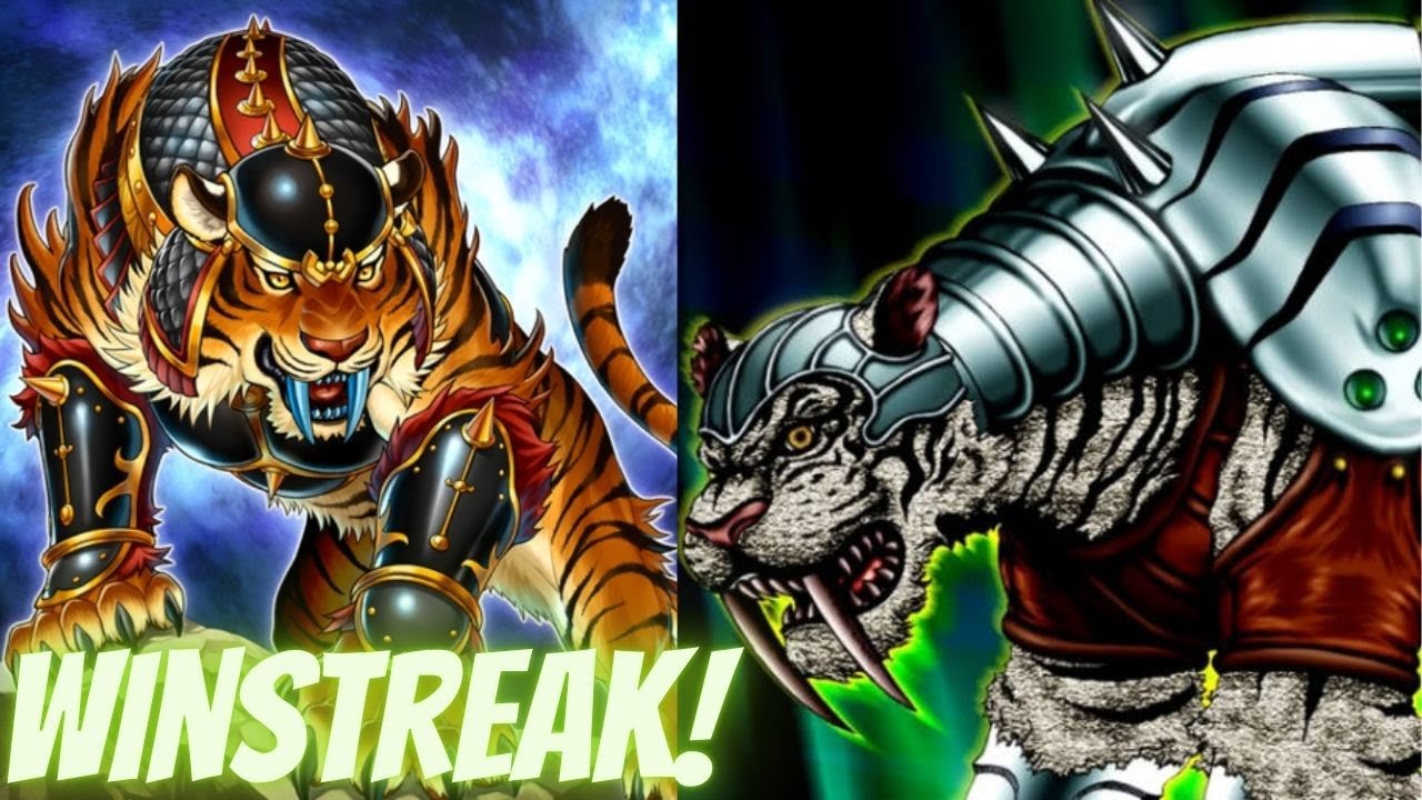 Tiger Stun Gets An Update For The New Meta And Goes On A 7 Game Winstreak! Yugioh Master Duel