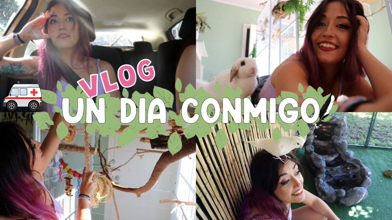 🌿Vlog | ¡Un día conmigo! Le robo ramas a mi amiga, cambio voladeras agapornis y ninfas...