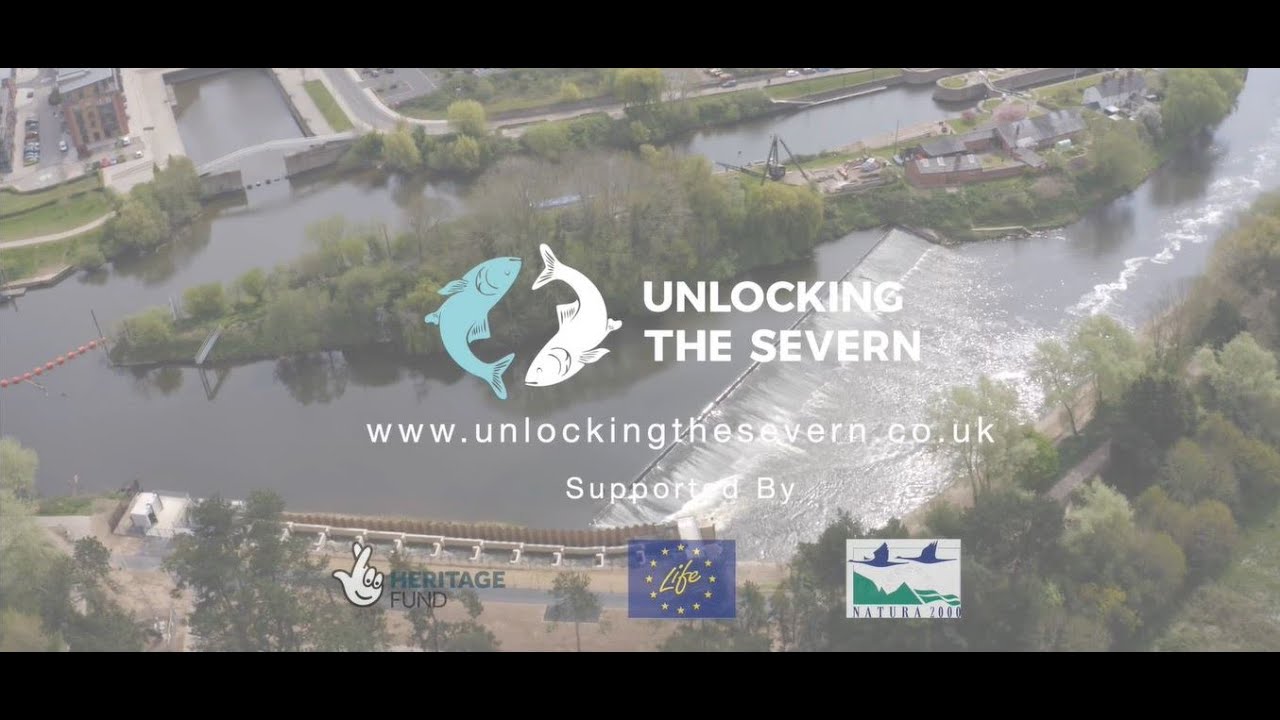 Unlocking the Severn completes the historic Diglis fish pass!