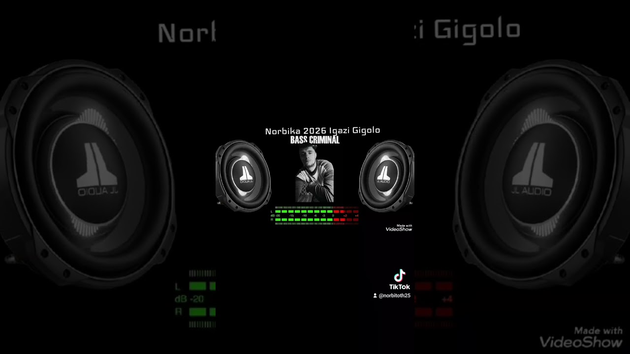 Norbika 2026 Igazi Gigolo ( Cover )