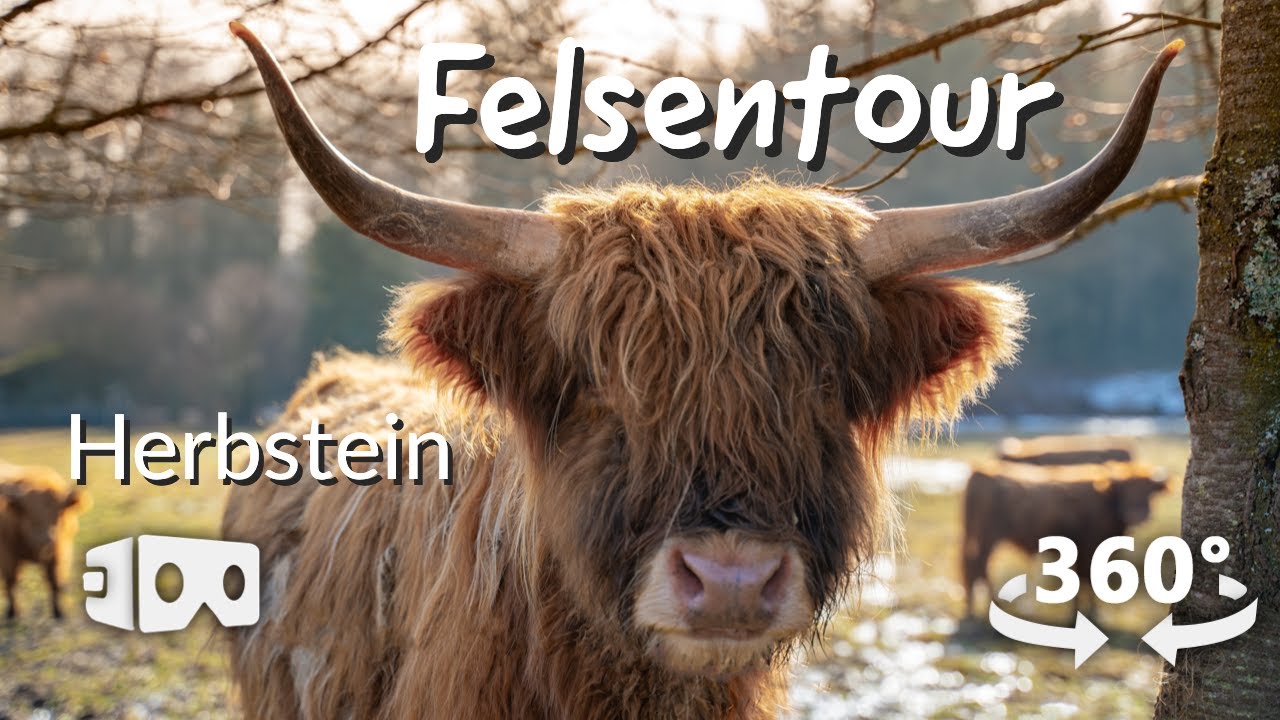 360° VR-Wanderung | Felsentour Herbstein | Extratour Vogelsberg | Wandern in Hessen