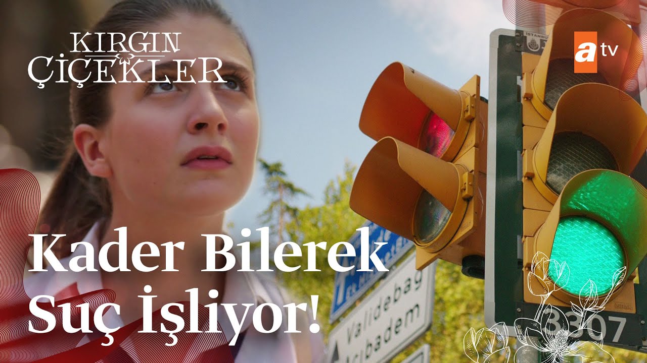 Kader'in başını belaya sokma çabası | Kırgın Çiçekler