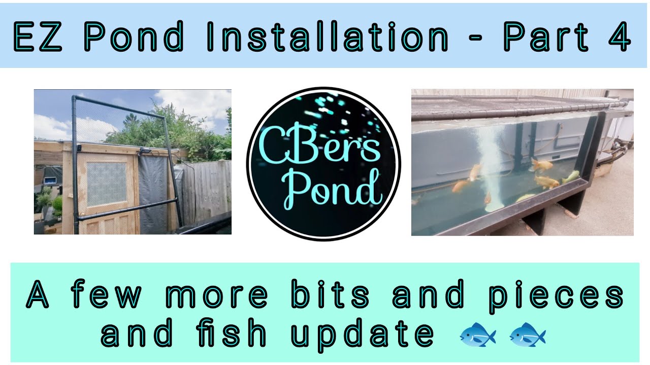 EZ Pond Installation Part 4 - A few more bits and pieces and fish update
