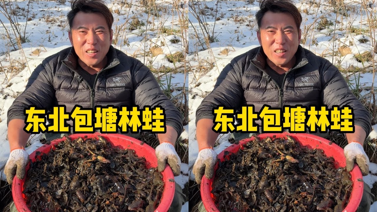 在东北零下30度包塘抓雪蛤，兄弟们觉得这次能不能赚？