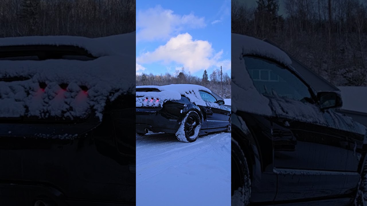❄️ Mustang V8 dans la neige | Le démarrer pour le faire vivre