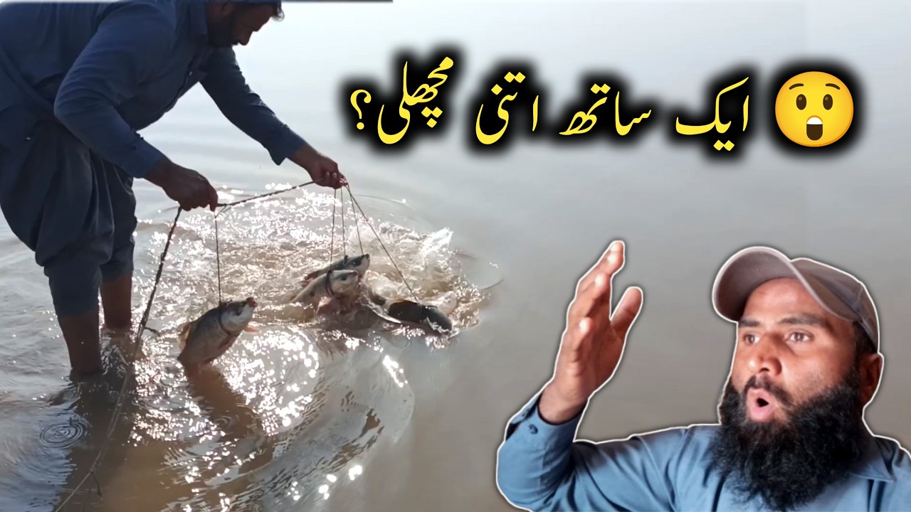 😱 ایک ڈور پر اتنی مچھلیاں؟ دریا میں آج جو ہوا یقین نہیں آئے گا | Nawabpuri Fishing