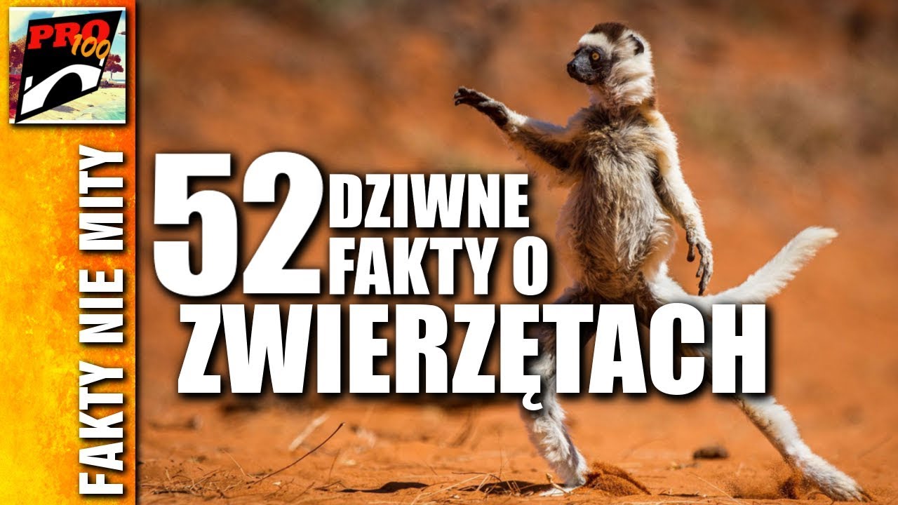 52 SUPER FAKTY O ZWIERZĘTACH