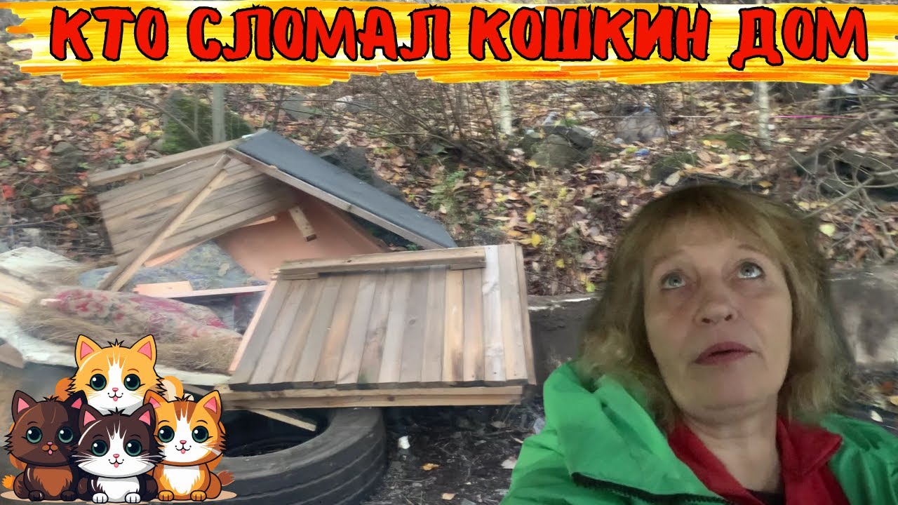 Кто сломал кошкин дом