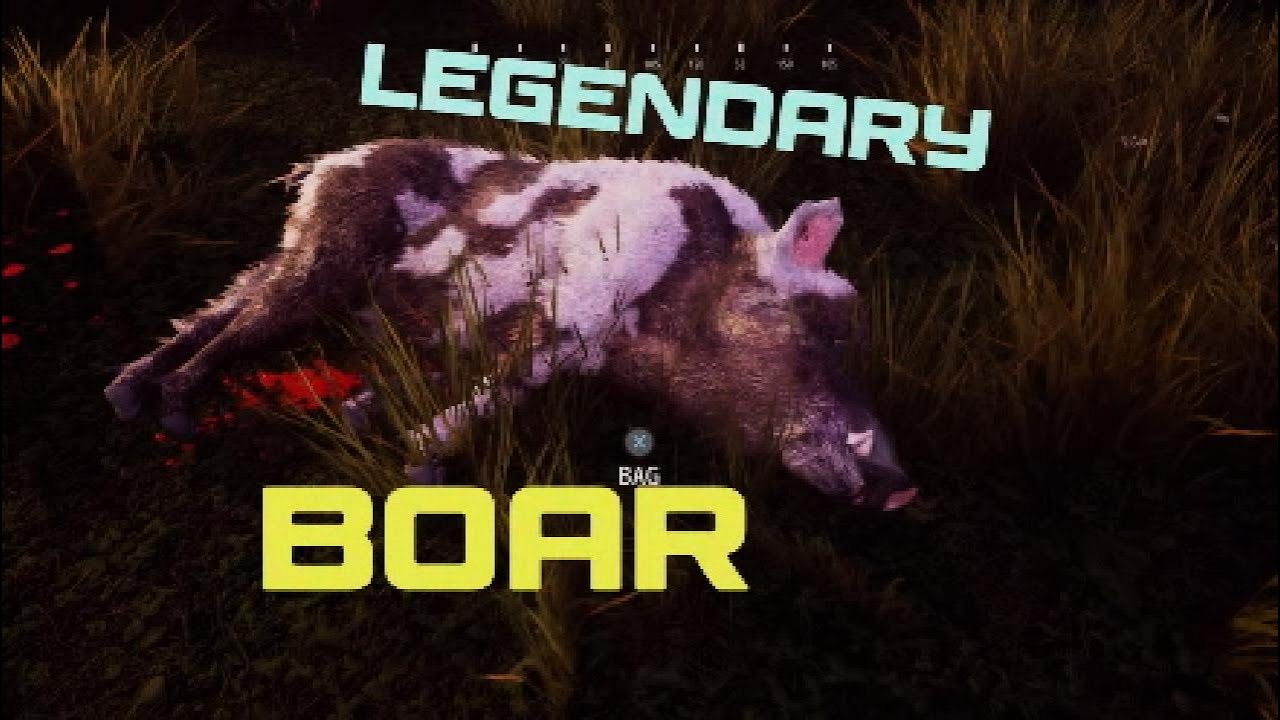 Legendary Boar & More - Hunting Simulator 2