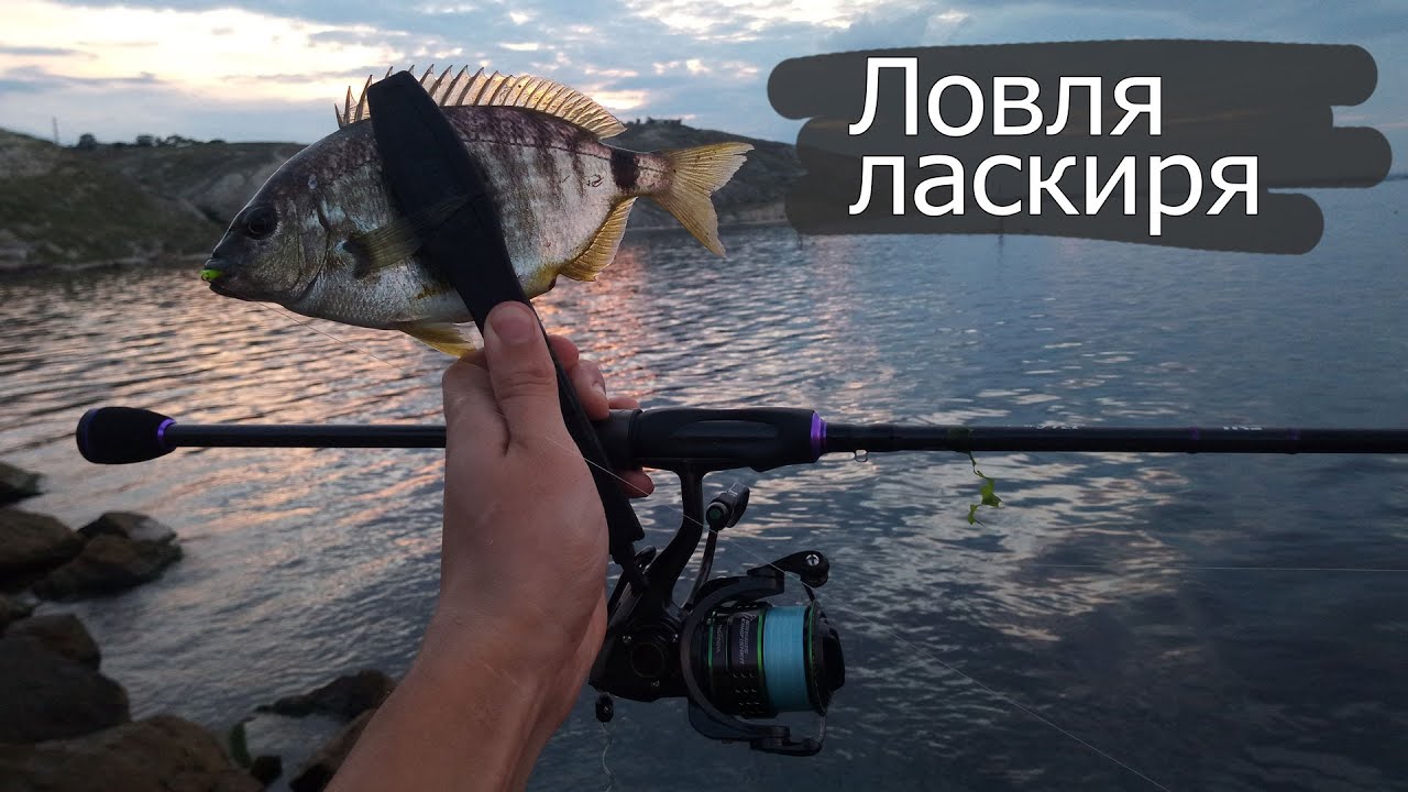 Ловля Ласкиря и Зеленух. Летний Рокфишинг